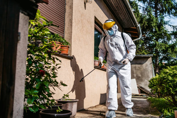 Best Bed Bug Extermination  in Grant City, MO