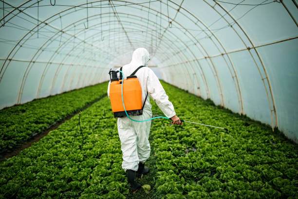 Best Commercial Pest Control Services  in Grant City, MO