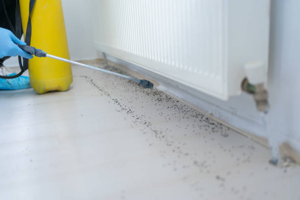 Best Best Pest Control Companies  in Grant City, MO