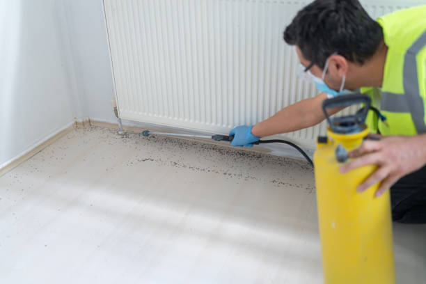 Best Best Pest Control Companies  in Grant City, MO